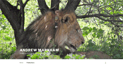 Desktop Screenshot of amarkham.com